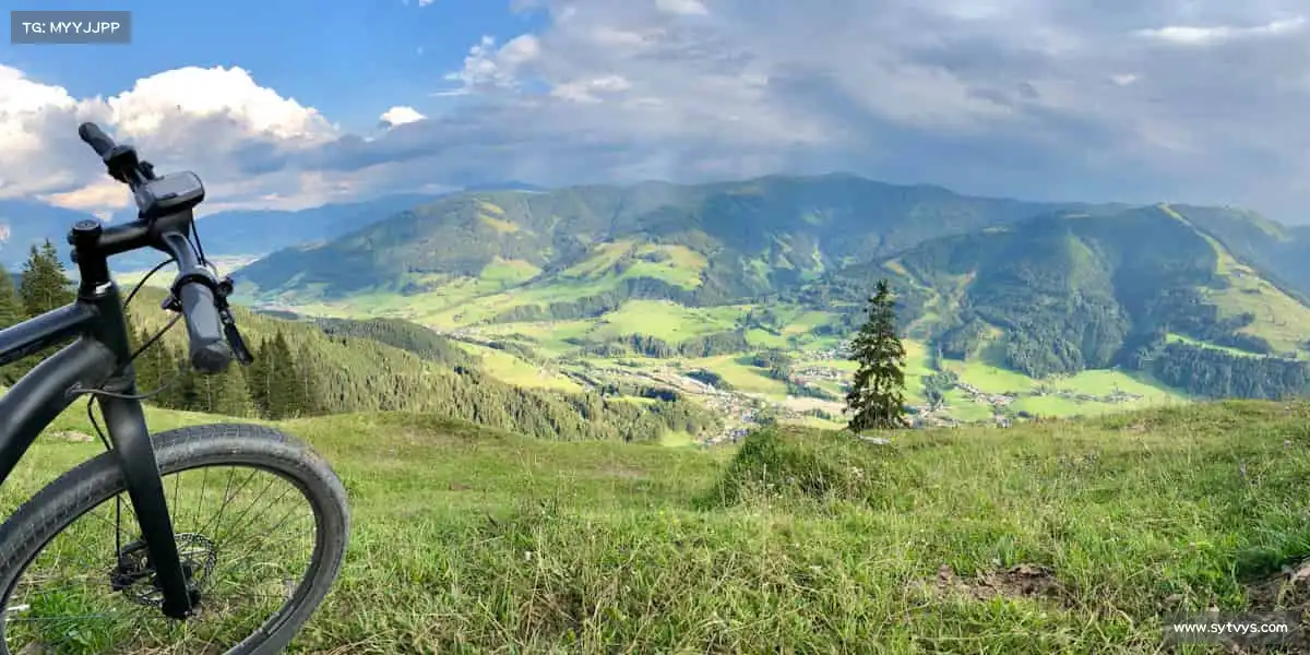 为什么选择我们